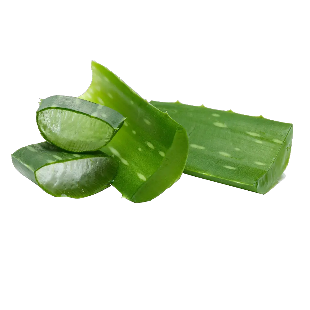 Aloe vera PNG
