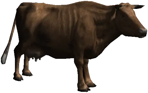 Cow PNG image