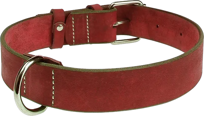 Dog collar PNG
