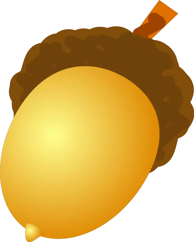 Acorn PNG image free acorns
