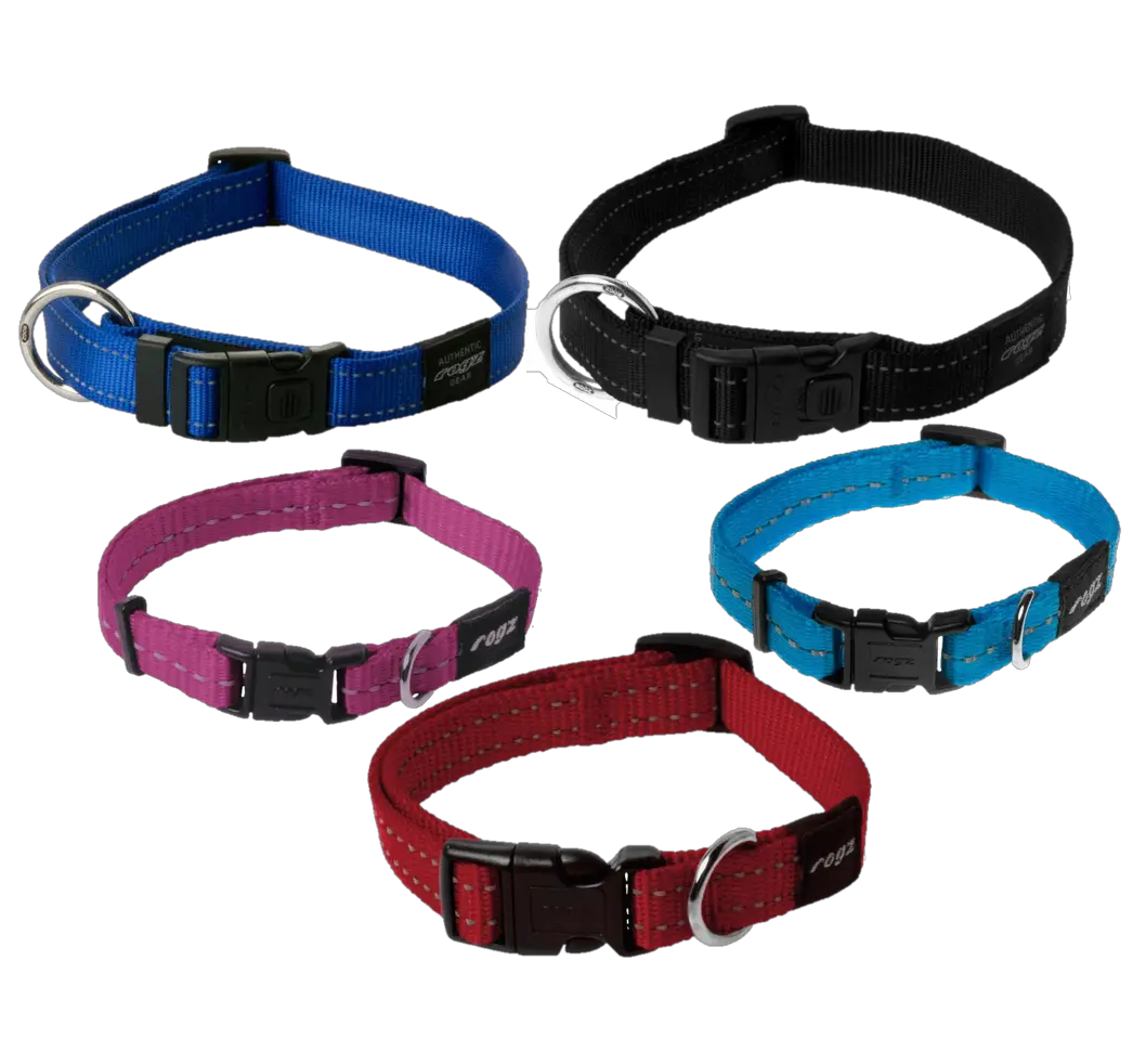 Dog collar PNG