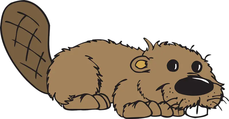 Beaver PNG
