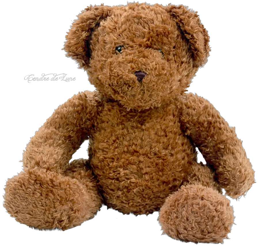 toy bear PNG image