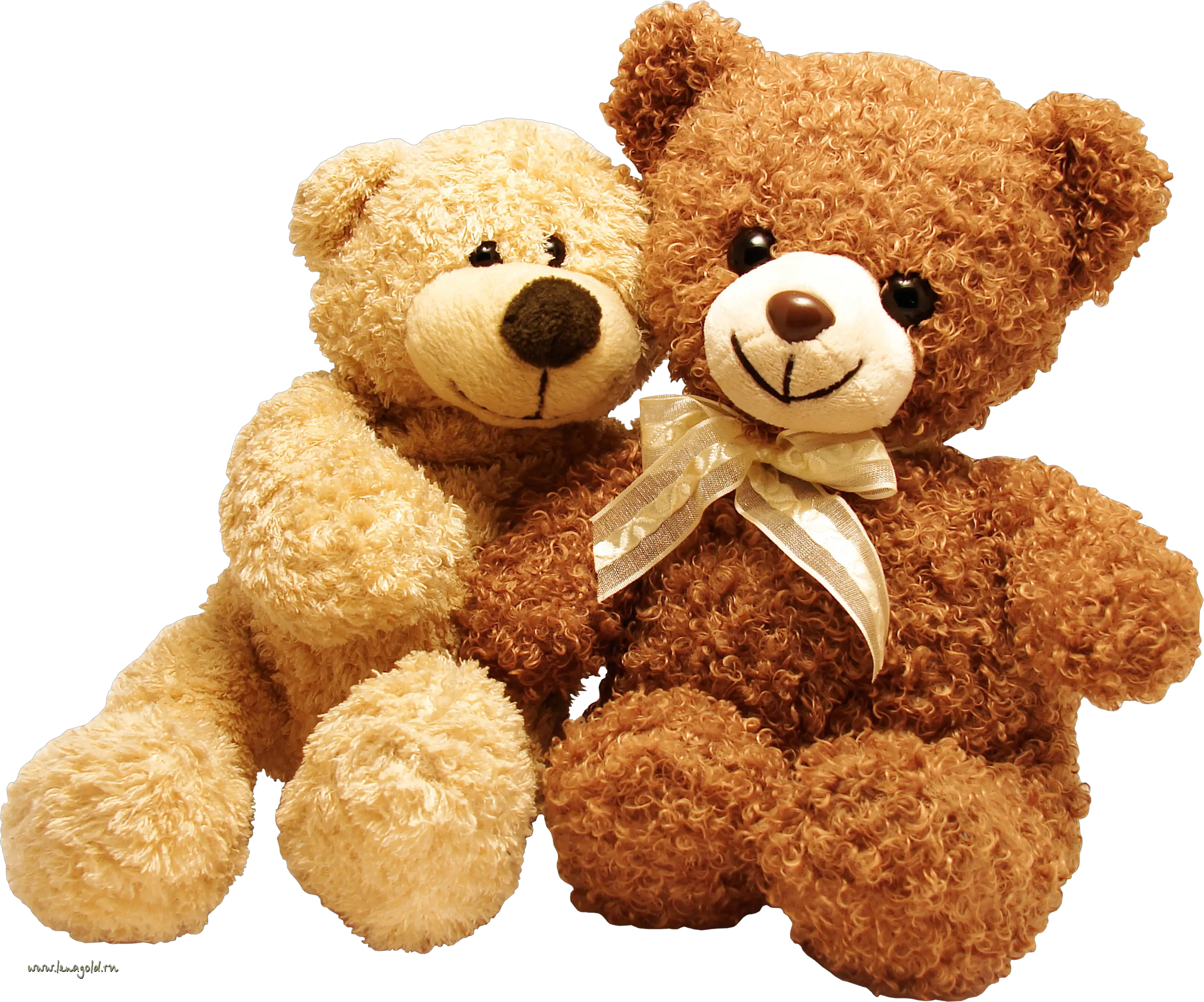 toys bears PNG image