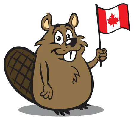 Beaver PNG