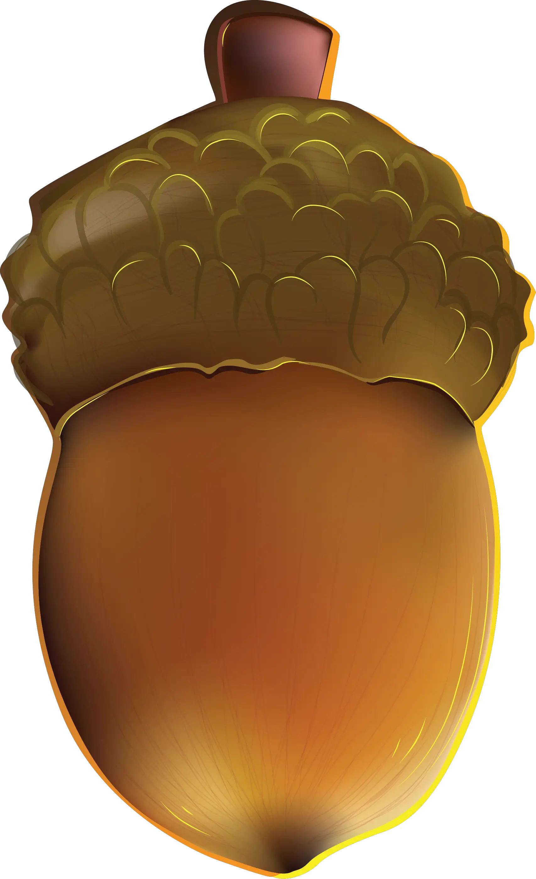 Acorn PNG image