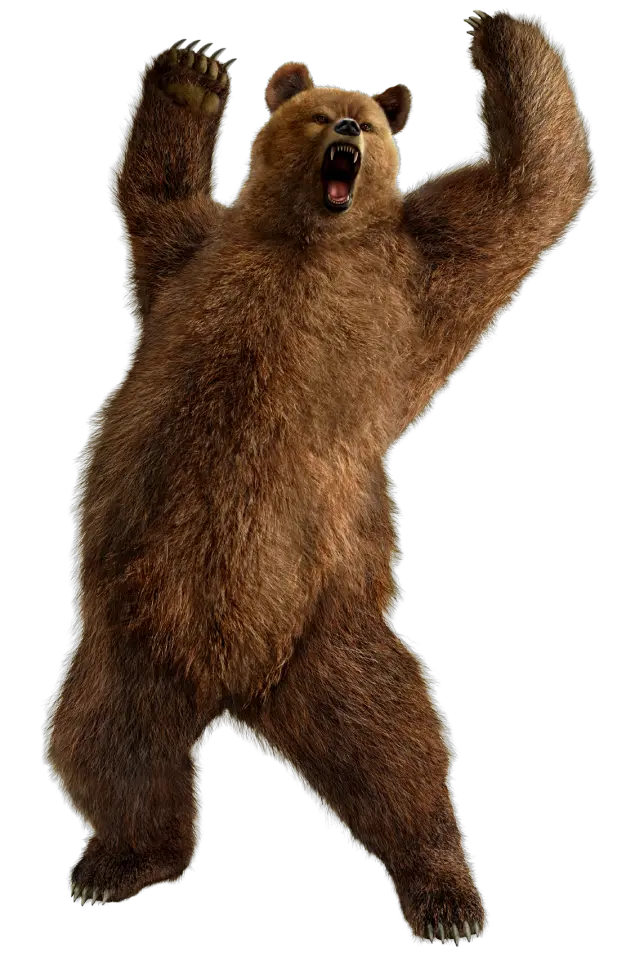 bear PNG