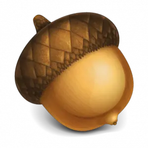 Acorn PNG image free acorns