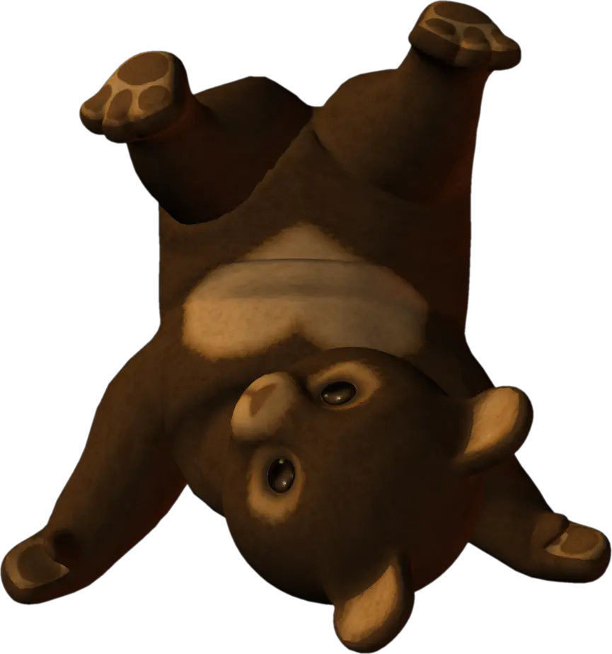 little bear PNG image