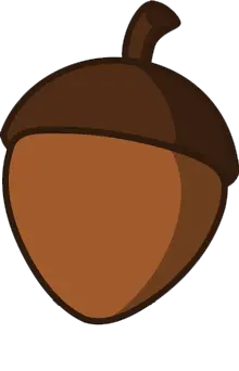 Acorn PNG image