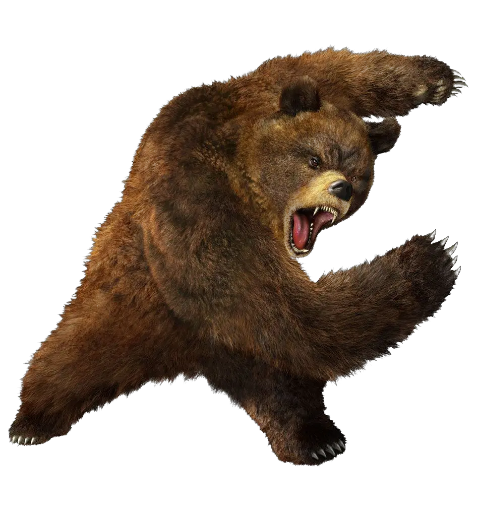 brown greezly bear PNG image