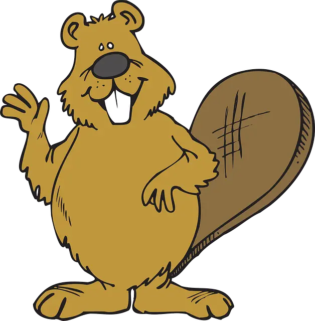 Beaver PNG