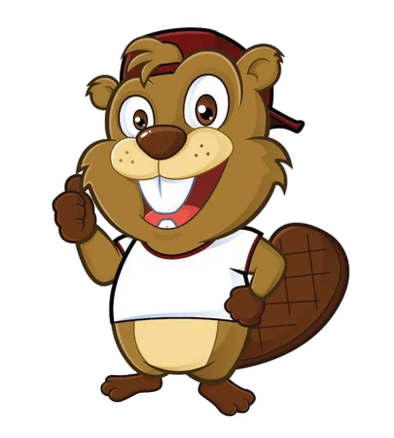 Beaver PNG
